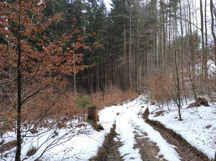 FOTKA - Na skok v Beskydech - hezk vzpomnky