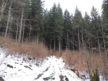 FOTKA - Na skok v Beskydech - hezk vzpomnky