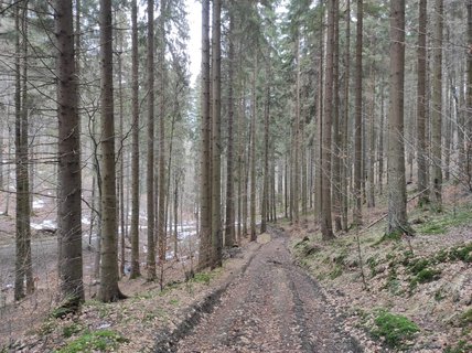 FOTKA - Na skok v Beskydech - hezk vzpomnky