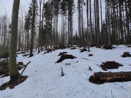 FOTKA - Na skok v Beskydech - hezk vzpomnky