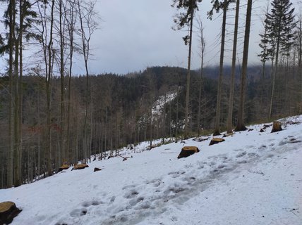 FOTKA - Na skok v Beskydech - hezk vzpomnky