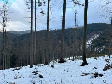 FOTKA - Na skok v Beskydech - hezk vzpomnky