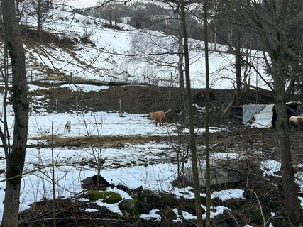 FOTKA - Na skok v Beskydech - hezk vzpomnky