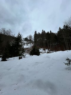 FOTKA - Na skok v Beskydech - hezk vzpomnky