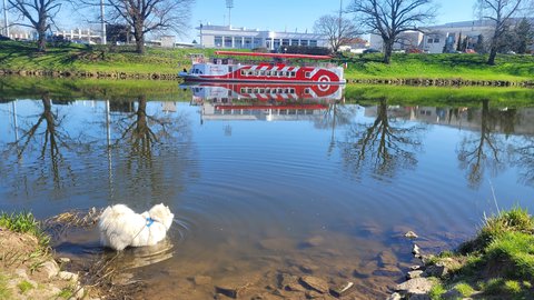 FOTKA - Svatojakubsk vchodoesk - vlet tvrt