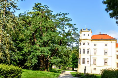 FOTKA - Putovn po jin Morav  Strnice