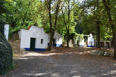 FOTKA - Putovn po jin Morav  Strnice