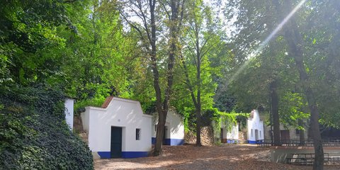 FOTKA - Putovn po jin Morav  Strnice