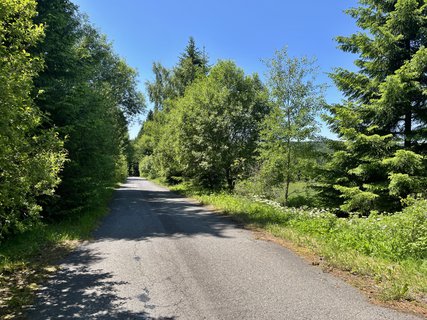 FOTKA - Zh: panensk proda i kus historie