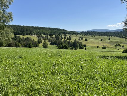 FOTKA - Zh: panensk proda i kus historie