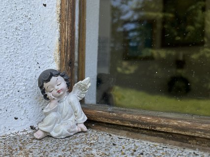 FOTKA - Zh: panensk proda i kus historie