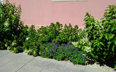 FOTKA - Putovn po jin Morav - Poutn kostel tpa