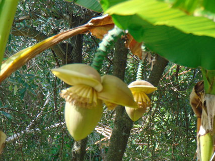 FOTKA - Ohldnut za dovolenou - Hum