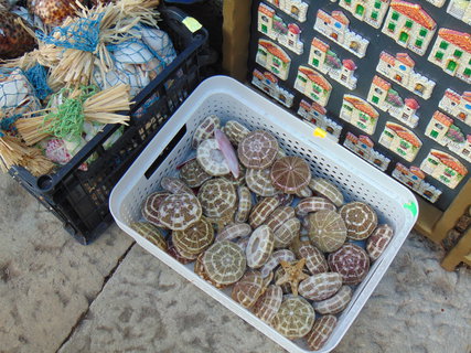 FOTKA - Ohldnut za dovolenou - Labin