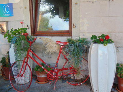 FOTKA - Ohldnut za dovolenou - Labin