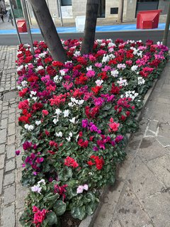 FOTKA - Tenerife - to je dovolenkov rj