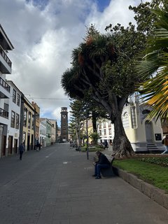 FOTKA - Tenerife - to je dovolenkov rj