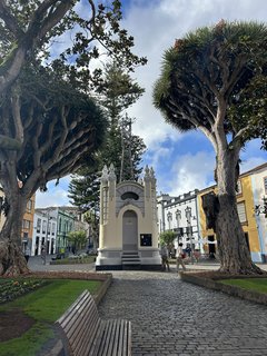 FOTKA - Tenerife - to je dovolenkov rj