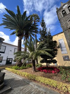 FOTKA - Tenerife - to je dovolenkov rj