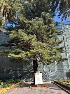 FOTKA - Tenerife - to je dovolenkov rj