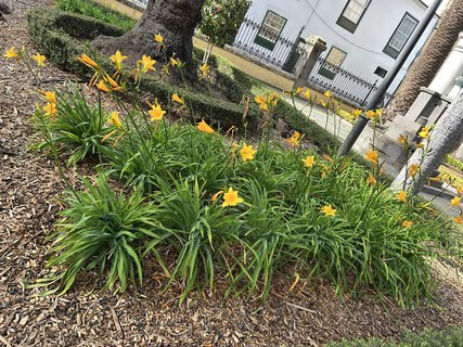 FOTKA - Tenerife - to je dovolenkov rj