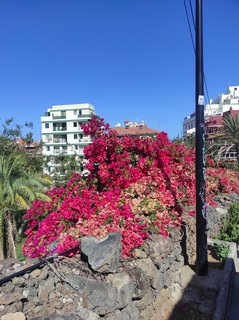 FOTKA - Tenerife - to je dovolenkov rj