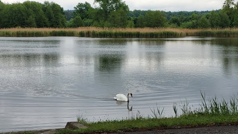 FOTKA - Svatojakubsk vchodoesk - vlet devt