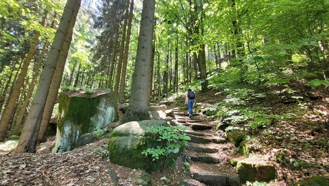 FOTKA - Svatojakubsk vchodoesk - vlet dest