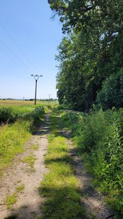 FOTKA - Svatojakubsk vchodoesk  vlet jedenct