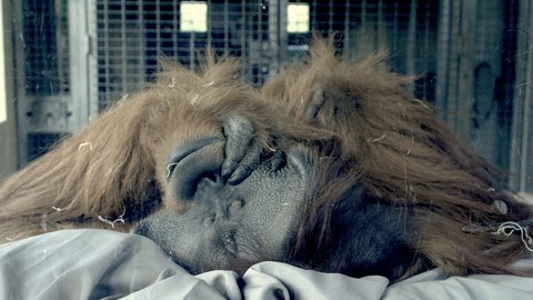 FOTKA - Jak sp zvata? I to zjistte na Prima ZOOM