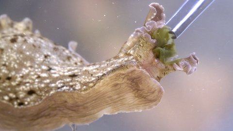 FOTKA - Jak sp zvata? I to zjistte na Prima ZOOM