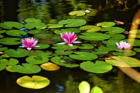 FOTKA - Putovn po jin Morav  ZOO Len