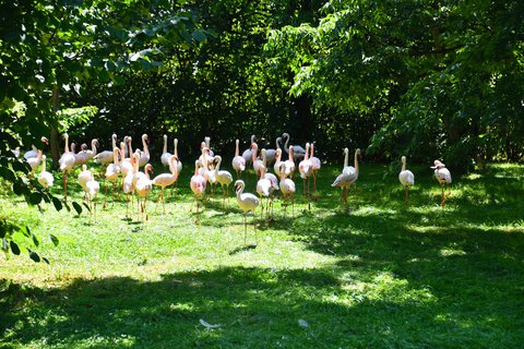FOTKA - Putovn po jin Morav  ZOO Len