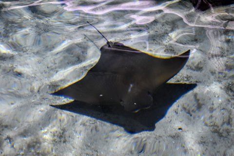 FOTKA - Putovn po jin Morav  ZOO Len