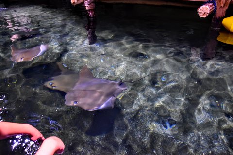 FOTKA - Putovn po jin Morav  ZOO Len