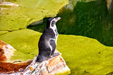 FOTKA - Putovn po jin Morav  ZOO Len