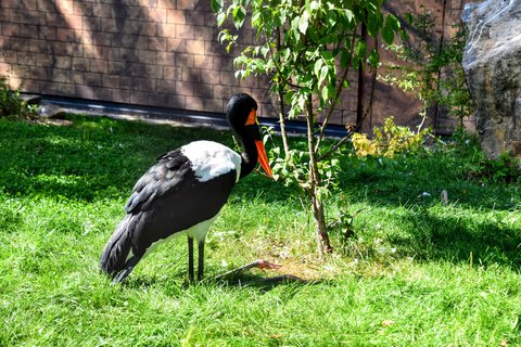 FOTKA - Putovn po jin Morav  ZOO Len