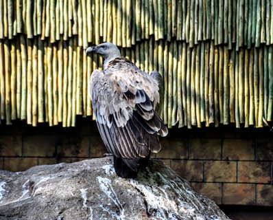 FOTKA - Putovn po jin Morav  ZOO Len