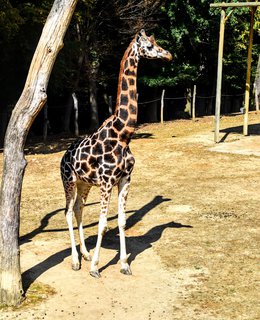 FOTKA - Putovn po jin Morav  ZOO Len