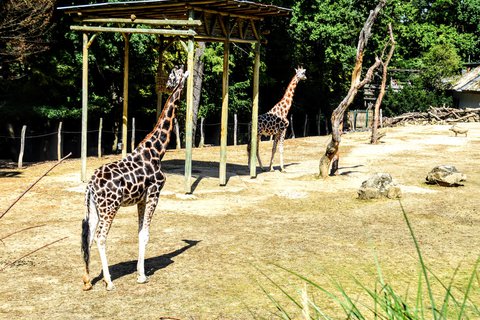 FOTKA - Putovn po jin Morav  ZOO Len