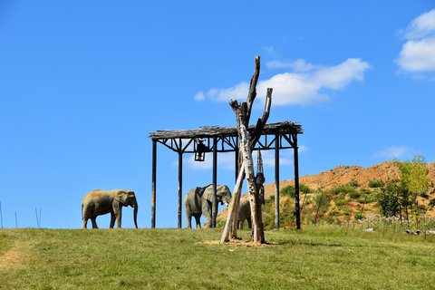 FOTKA - Putovn po jin Morav  ZOO Len