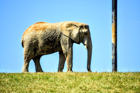 FOTKA - Putovn po jin Morav  ZOO Len
