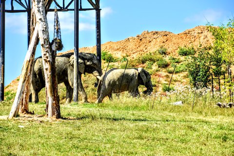 FOTKA - Putovn po jin Morav  ZOO Len