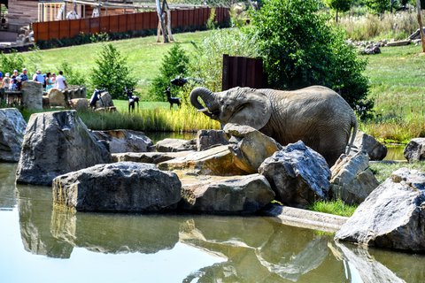FOTKA - Putovn po jin Morav  ZOO Len