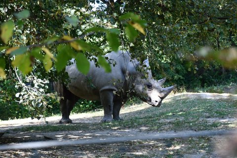 FOTKA - Putovn po jin Morav  ZOO Len