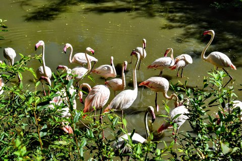 FOTKA - Putovn po jin Morav  ZOO Len