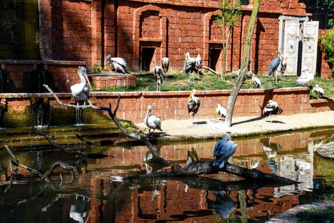 FOTKA - Putovn po jin Morav  ZOO Len