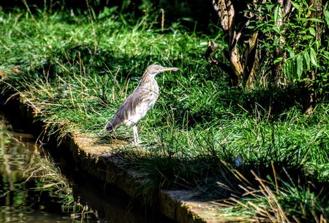FOTKA - Putovn po jin Morav  ZOO Len