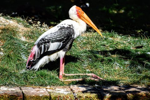 FOTKA - Putovn po jin Morav  ZOO Len