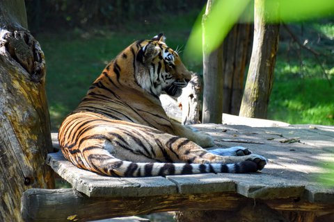 FOTKA - Putovn po jin Morav  ZOO Len